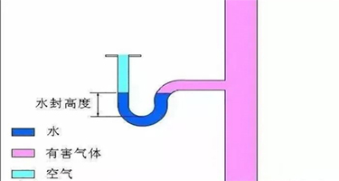 下沉式卫生间需要存水弯吗，看完存水弯的作用是什么就明白了